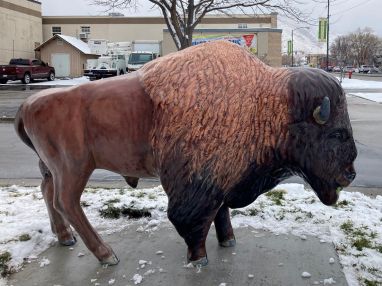 City Hall Buffalo Photo